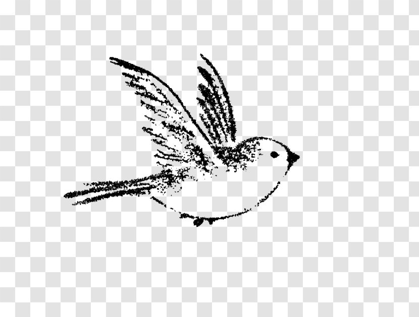 House Sparrow Bird Drawing Tattoo - Butterfly Transparent PNG