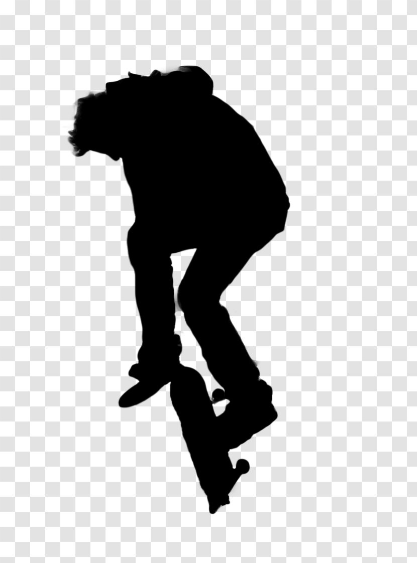 Silhouette Skateboarding Photography - Skateboard Transparent PNG