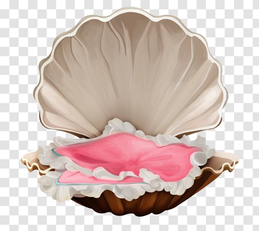 Seashell Caracola Clip Art Transparent PNG