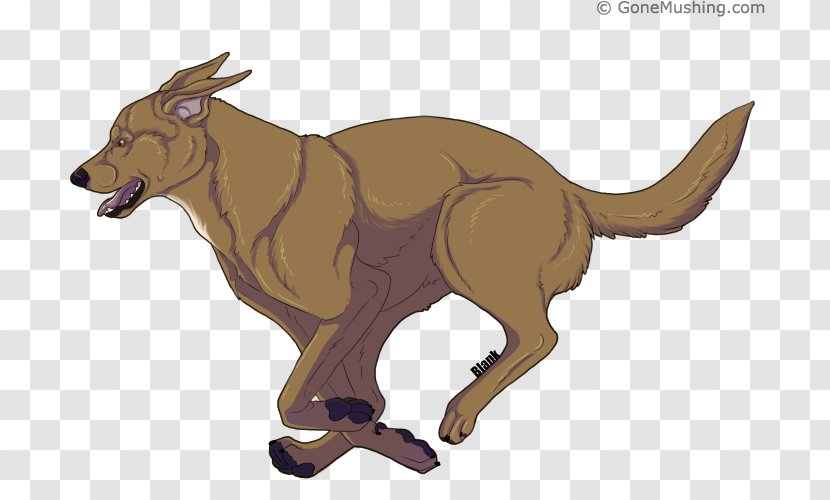 Dog Cattle Kangaroo Character Tail - Animated Cartoon Transparent PNG