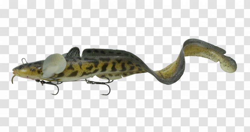 Fishing Baits & Lures Northern Pike Swimbait Burbot - Minnow Transparent PNG
