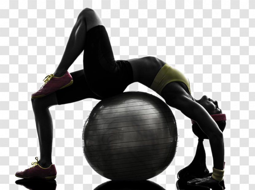 Physical Fitness Exercise Ball Personal Trainer Flexibility - Flower - Movement Transparent PNG