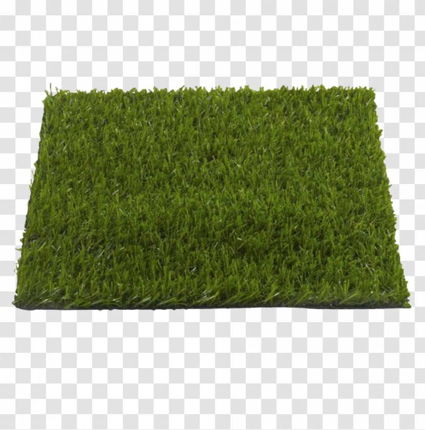 Artificial Turf Lawn Garden Furniture Plastic - Floor - Grass Carp Transparent PNG