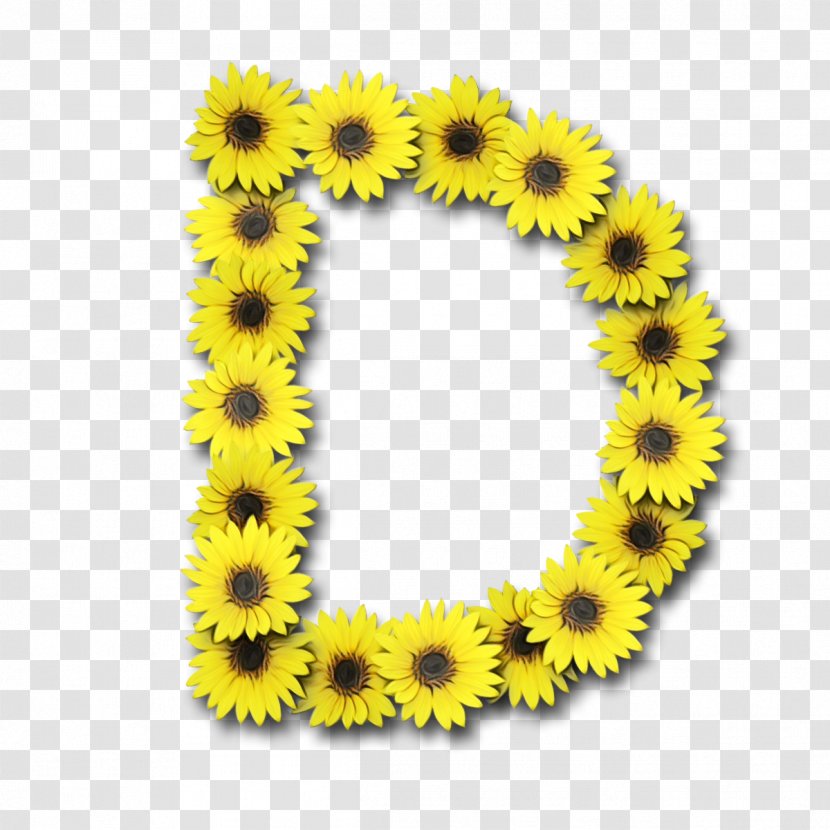 Sunflower - Watercolor - Smile Daisy Family Transparent PNG