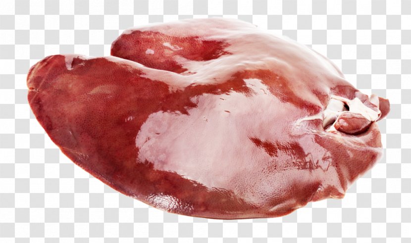 Red Meat Lamb And Mutton Liver Game - Cartoon - Sheep Transparent PNG