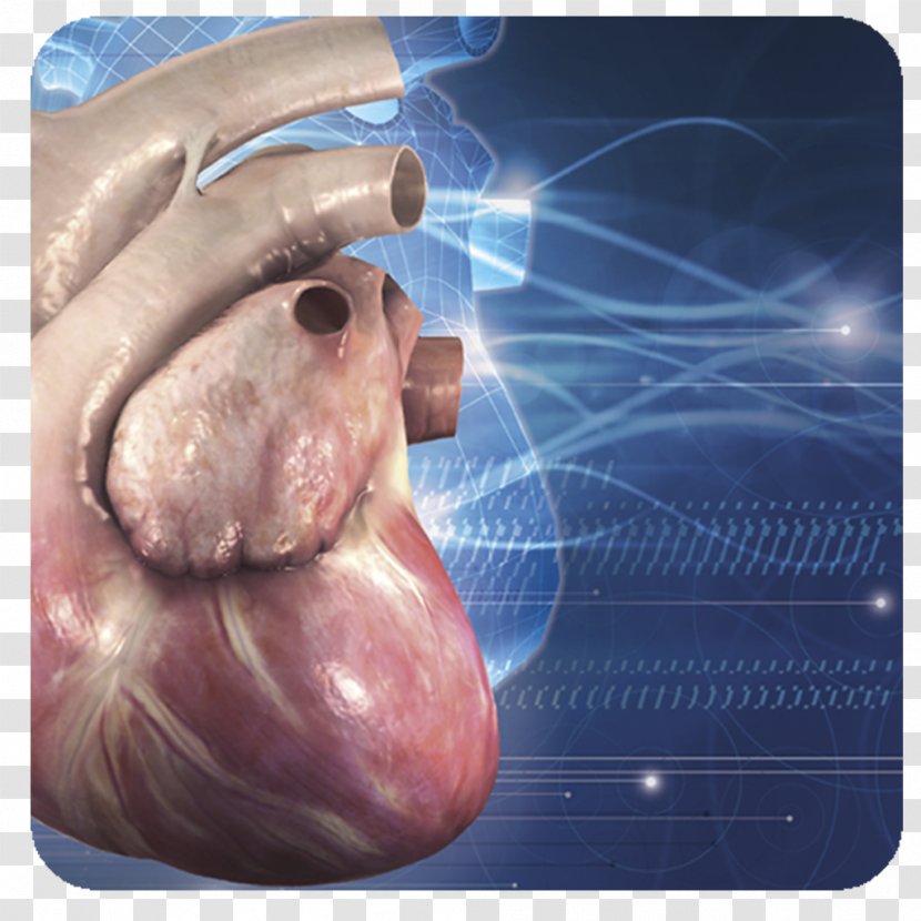 Cardiology Google Play Disease Diagnose - Medicine - Computer Program Transparent PNG
