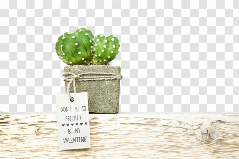Wedding Invitation Save The Date Succulent Plant Cactaceae Paper - Cactus Transparent PNG