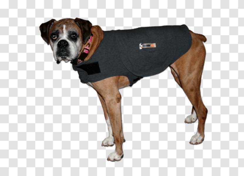 Dog Breed Boxer Snout Clothes - Collar - Beyond Basic Training Transparent PNG