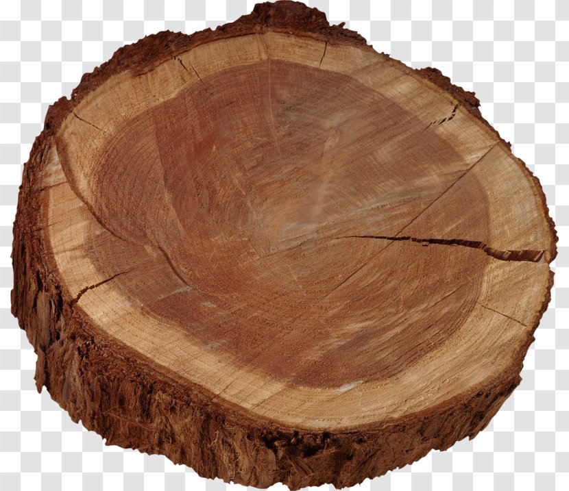Firewood Tree Hardwood International Tropical Timber Agreement, 2006 - A Wooden Pier Transparent PNG