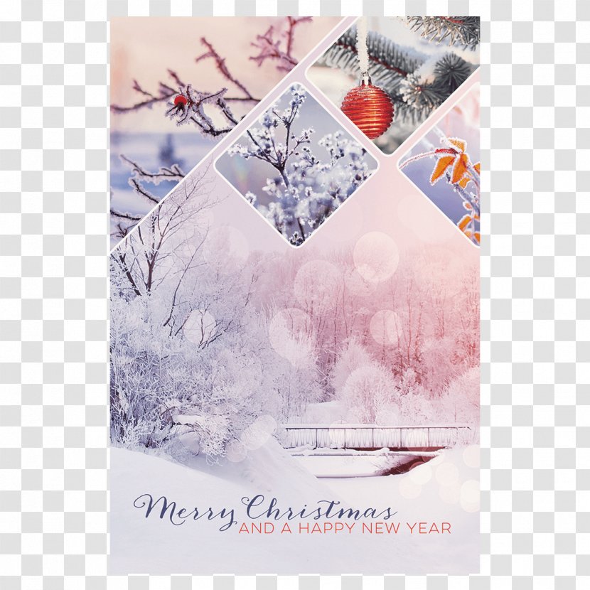 Christmas Card Greeting & Note Cards Tree New Year Transparent PNG