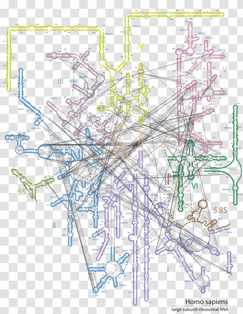 Drawing Urban Design Line Point - Area Transparent PNG