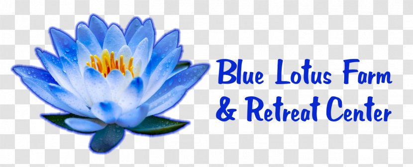 2018 Golf Outing Egyptian Lotus GuideStar Blue Farm & Retreat Center - Guidestar - Water Lily Transparent PNG