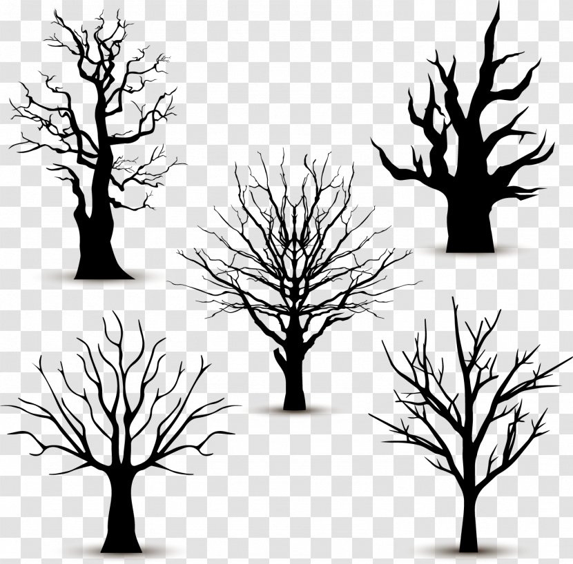 Tree Silhouette Euclidean Vector - Monochrome - 5 Black Trees Without Leaves Transparent PNG