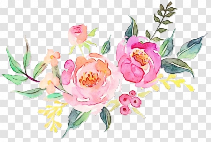 Flowering Plant Flower Pink Common Peony - Chinese Watercolor Paint Transparent PNG