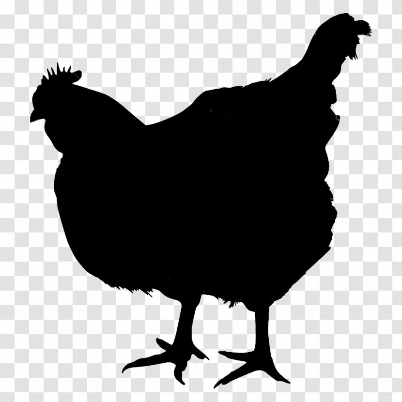 Chicken Royalty-free Photography Rooster - Black And White - Meat Transparent PNG