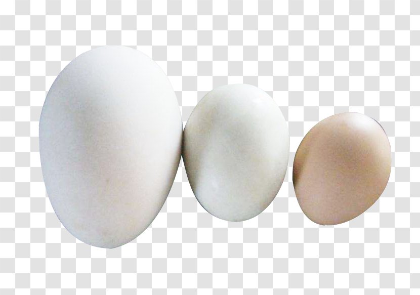 Egg - Goose Duck Picture Material Transparent PNG