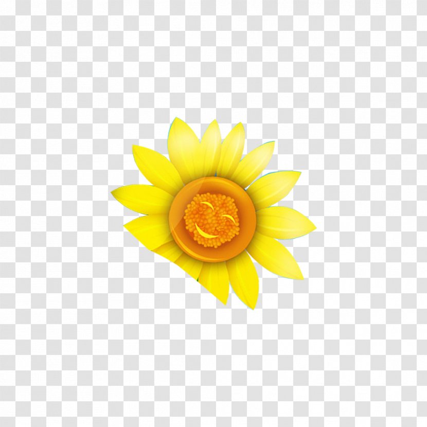 Smile Google Images Wallpaper - Banner - Sunflower Transparent PNG