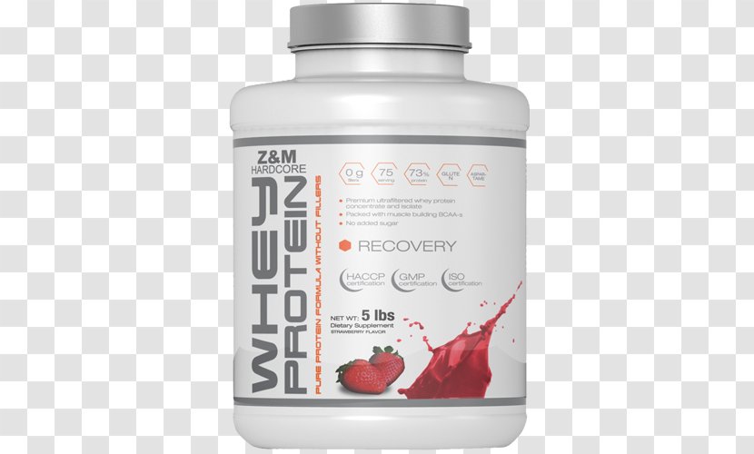 Whey Protein Isolate Bodybuilding Supplement - Chocolate - Strawberry Flavor Transparent PNG