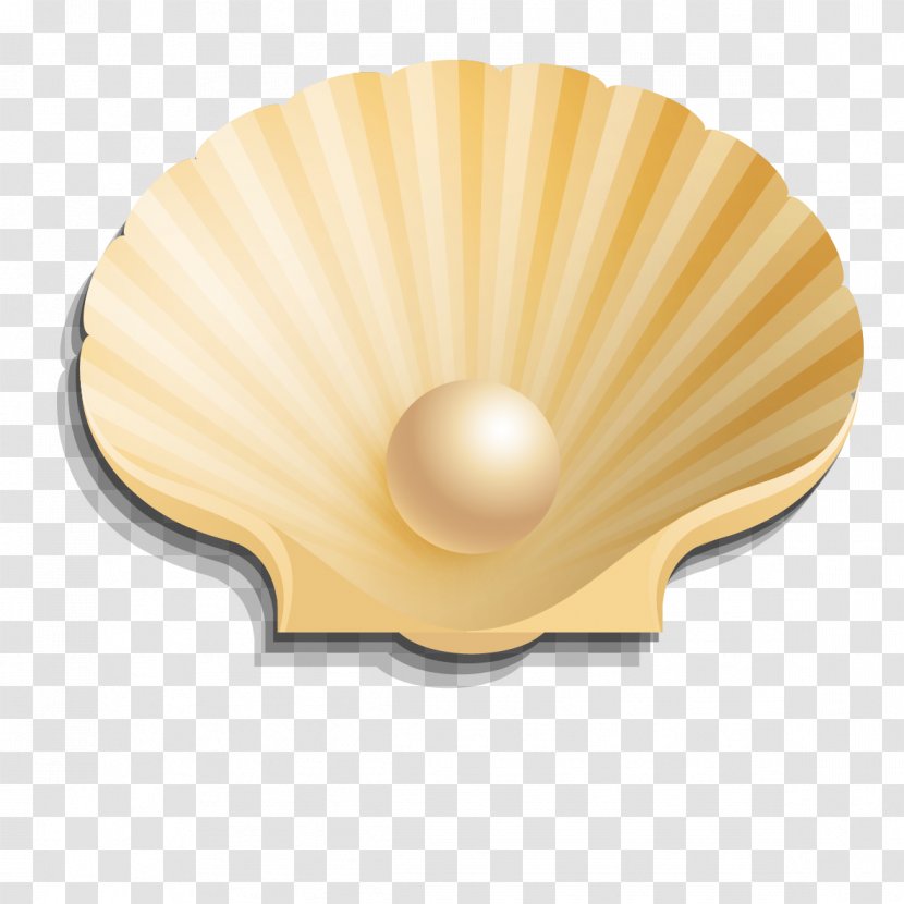 Seashell Pearl Euclidean Vector - 3d Computer Graphics - Seashells And Pearls Transparent PNG