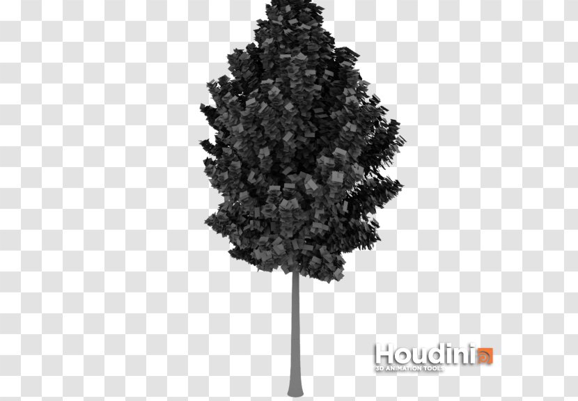 Spruce Fir Pine Christmas Tree Transparent PNG