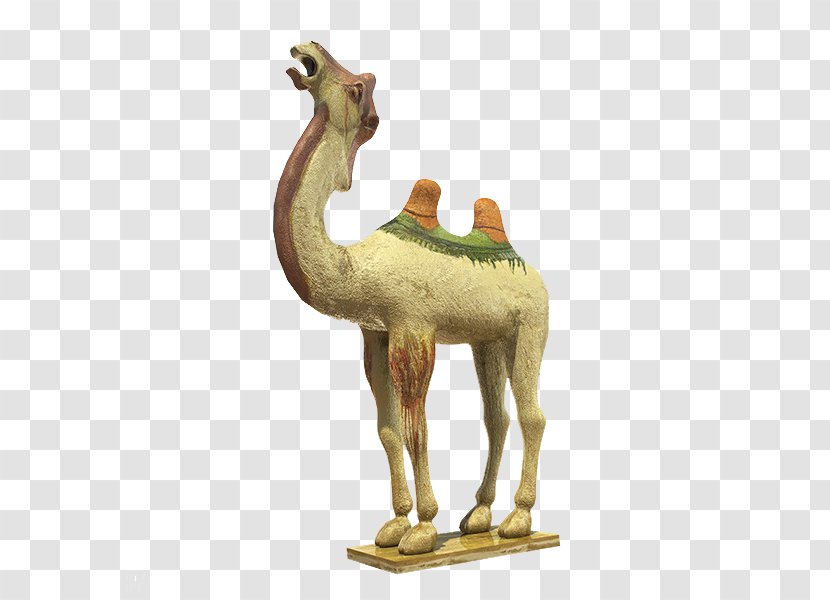 Dromedary One Belt Road Initiative Silk - Desert Camel Transparent PNG