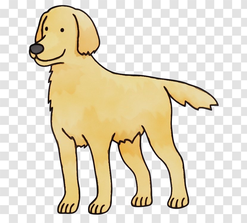 Dog Breed Golden Retriever Yellow - Sporting Group Transparent PNG