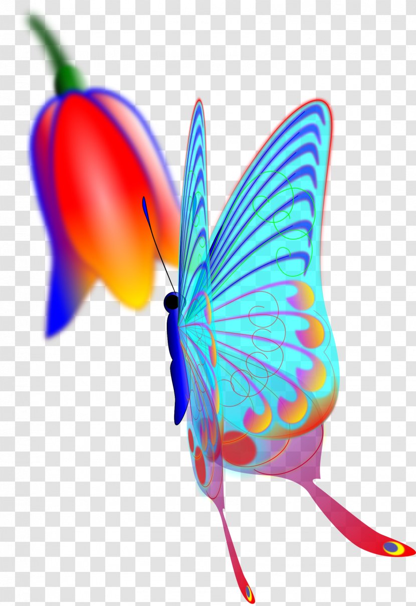 Butterfly Wing Clip Art - Invertebrate - Winged Vector Transparent PNG