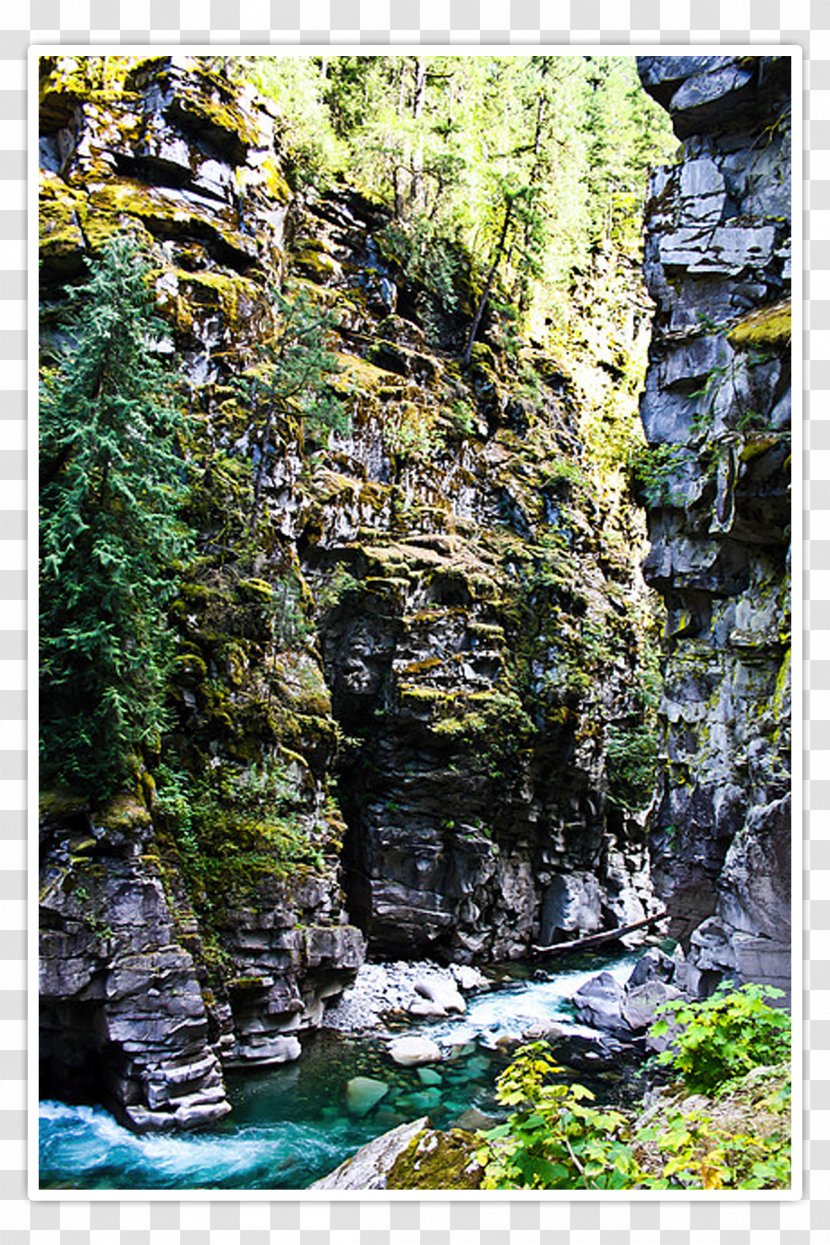Stream Coquihalla Canyon Provincial Park Nature Reserve Rainforest Water Resources - Tree Transparent PNG