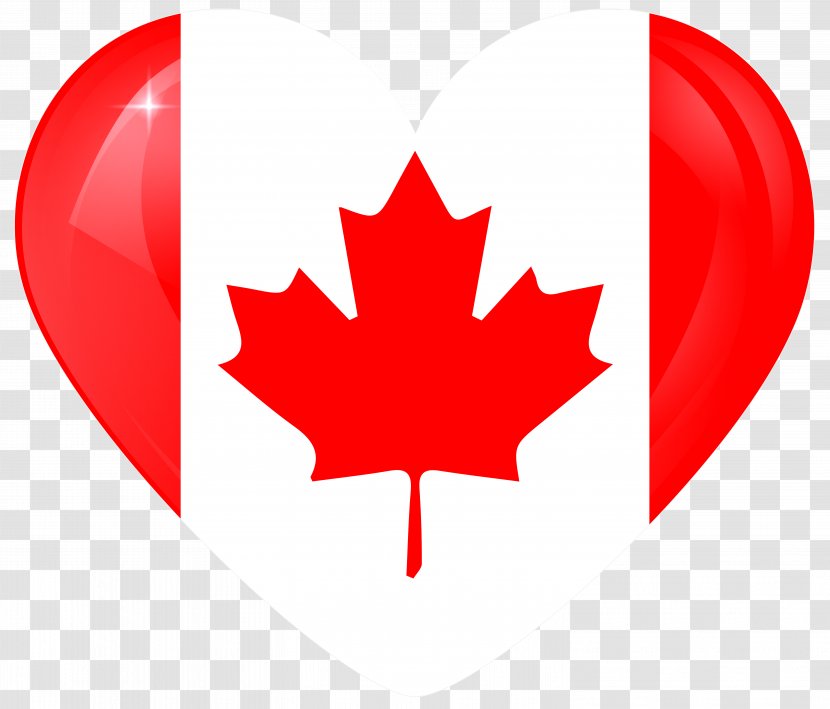 Flag Of Canada Vector Graphics Maple Leaf Transparent PNG