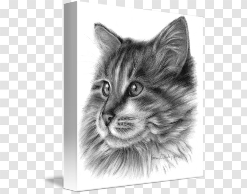 Maine Coon Norwegian Forest Cat Nebelung Domestic Long-haired Whiskers - Kitten Transparent PNG