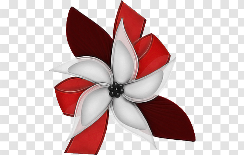 Cut Flowers Flower Petal Red Plants Transparent PNG