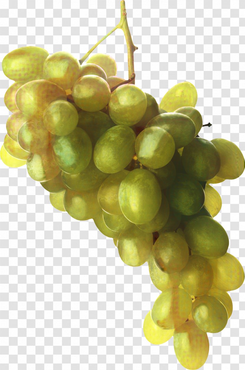 Flower Leaves - Grapevine Family - Grape Transparent PNG