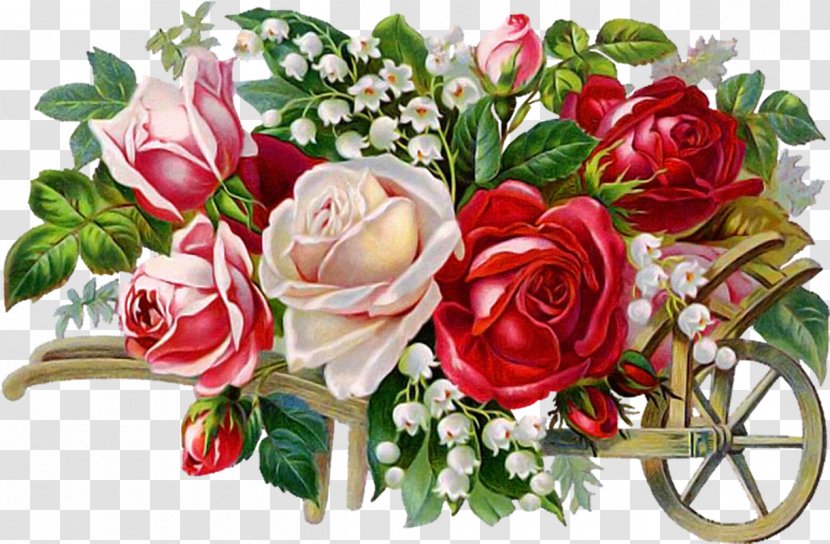 Still Life: Pink Roses Child Stock Photography Saint - Flower Bouquet Transparent PNG