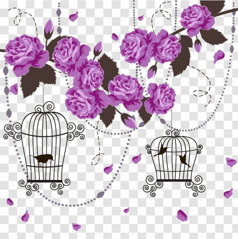 Rose Color Drawing - Pink - Purple Elegant Element Cage Transparent PNG