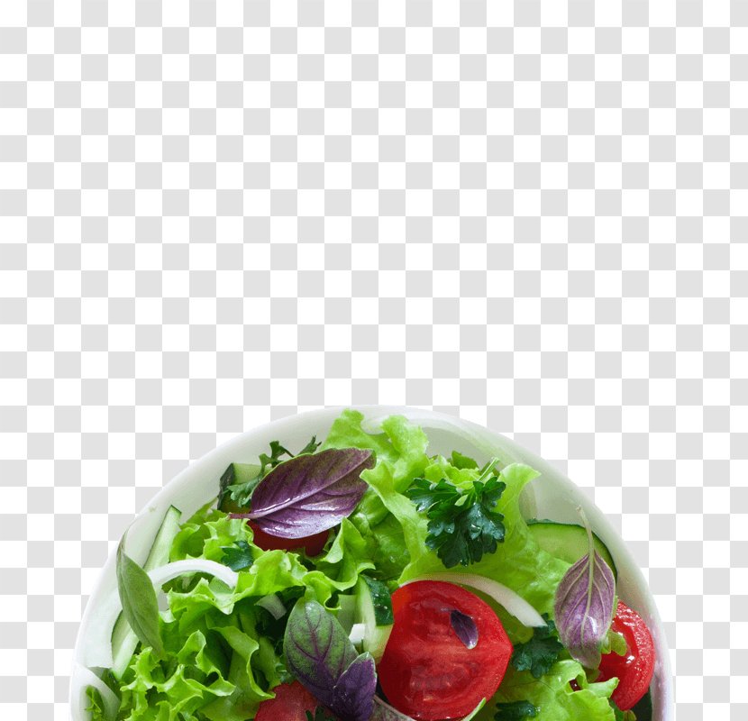 Lettuce Salad Vegetable Vegetarian Cuisine Radish - Bean Transparent PNG
