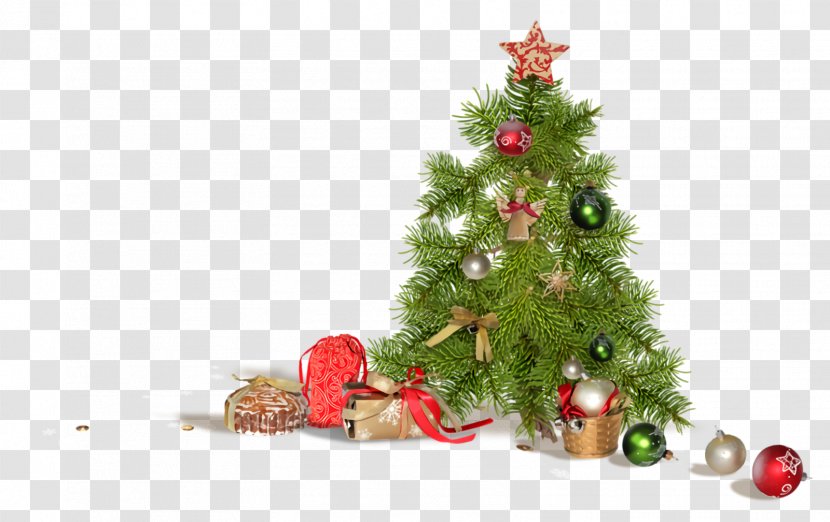 Christmas Ornaments Decoration - Ornament - Conifer Spruce Transparent PNG