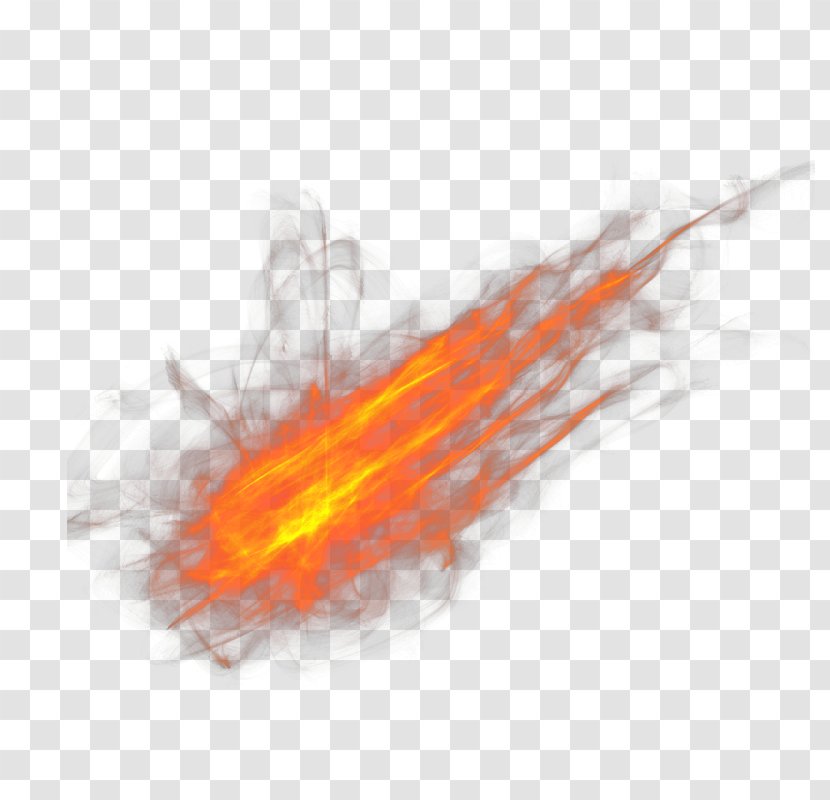 Fire Flame Euclidean Vector - Wing Transparent PNG