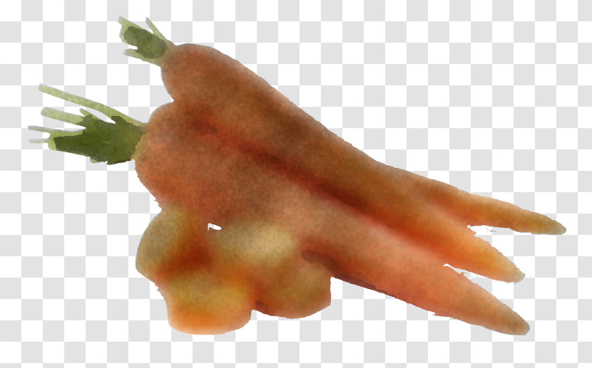 Carrot Asparagus Hand Finger Vegetable Transparent PNG