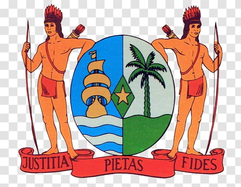 Coat Of Arms Suriname T-shirt Flag - Artwork - Tshirt Transparent PNG