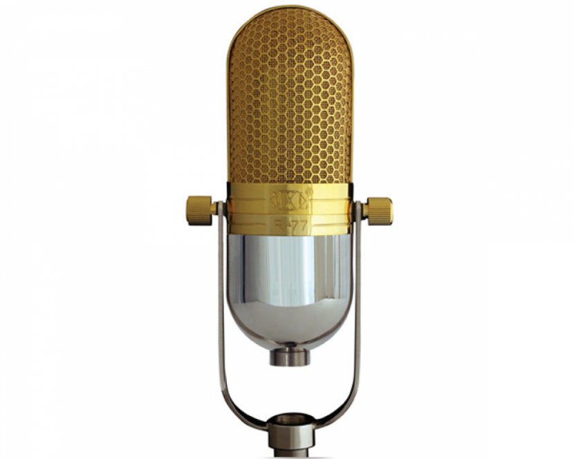 Ribbon Microphone Professional Audio Recording Studio Signal - Tree Transparent PNG