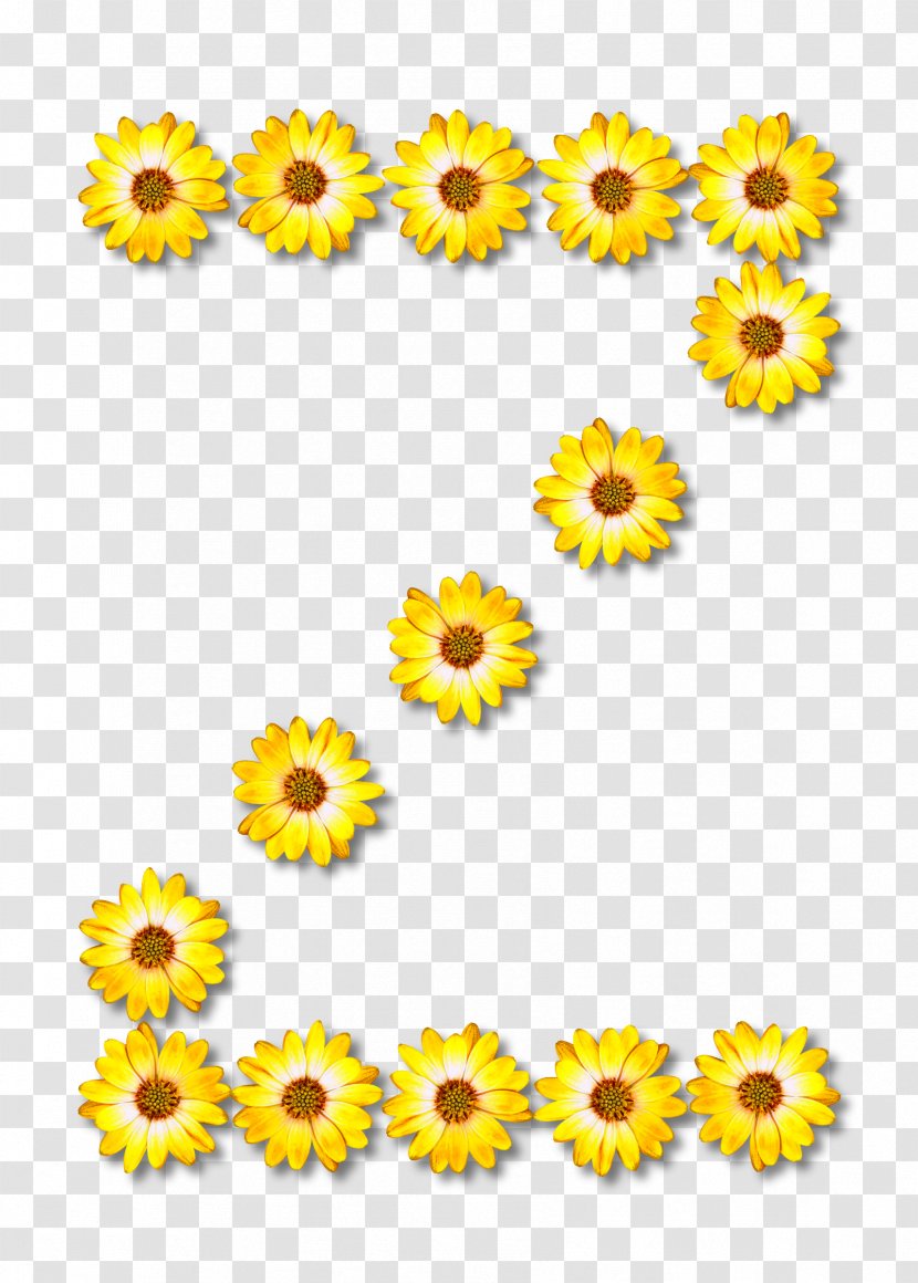 Letter Alphabet Writing Clip Art - Sunflower - Zipper Transparent PNG