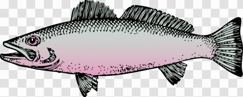 Fish Free Content Clip Art - Graphics Transparent PNG