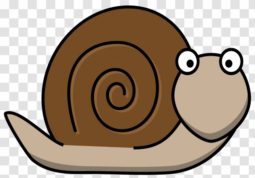 Gastropods Snail Clip Art - Royaltyfree Transparent PNG