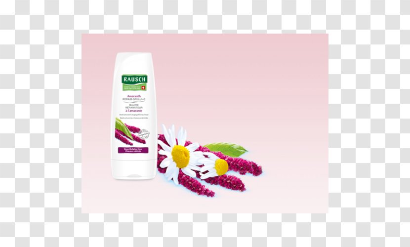 Lotion Hair Shampoo Balsam Capelli - Amaranth Transparent PNG