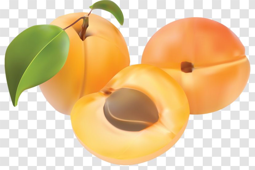 Peach Apricot - Superfood - Fruit Transparent PNG