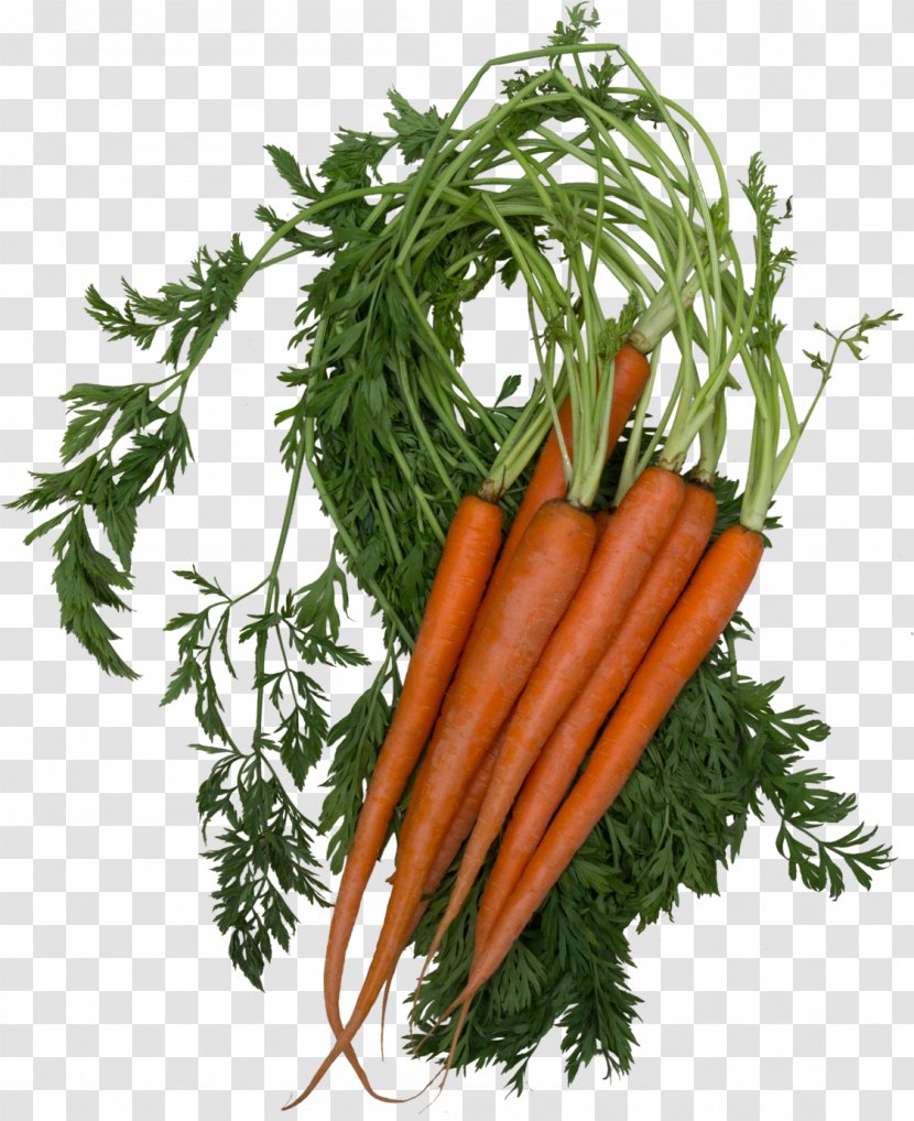 Baby Carrot Food Beetroot Orange Vitamin - Juice Transparent PNG