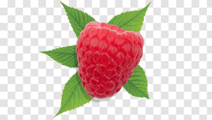 Strawberry Raspberry Driscoll's Auglis - Vitamin - Smoothie Transparent PNG