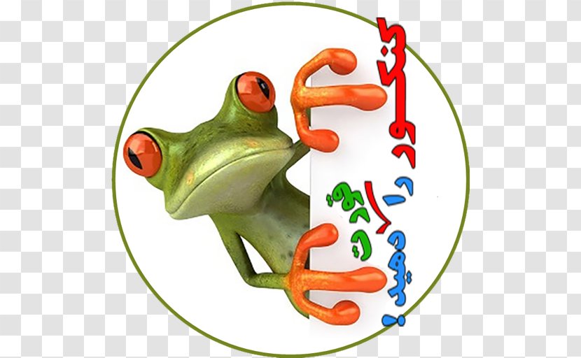 The Tree Frog Jumping Contest Stock Photography Transparent PNG