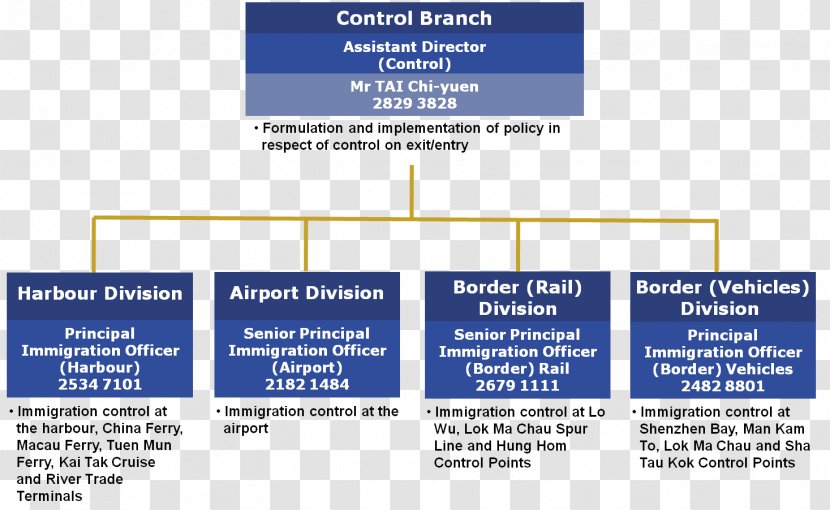 Organizational Chart Immigration Department Kai Tak Cruise Terminal - Structure - Branch Transparent PNG
