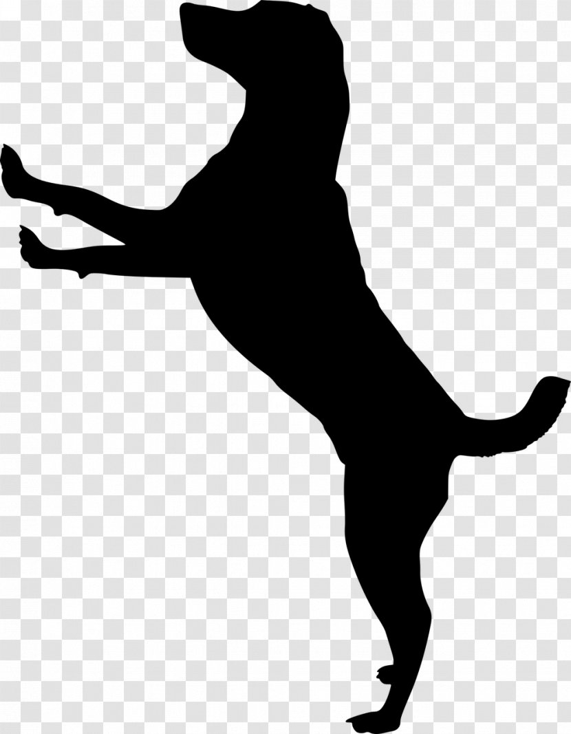 Dog And Cat - Houses - Tail Jumping Transparent PNG